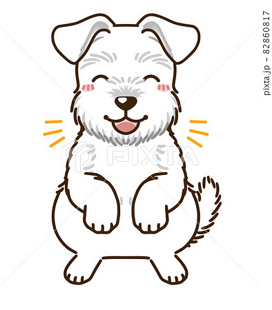 ミニチュアシュナウザーのイラスト素材
