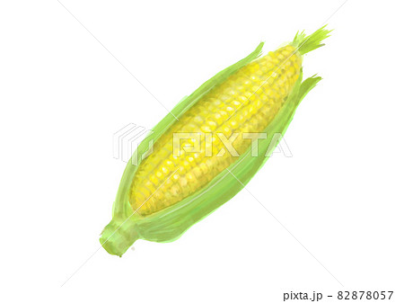 とうもろこしのイラスト素材集 ピクスタ