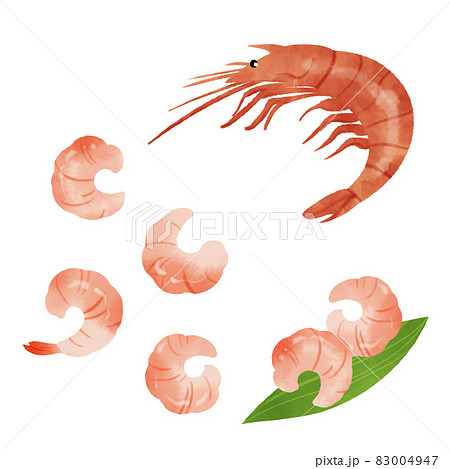 エビ 海老 のイラスト素材集 ピクスタ