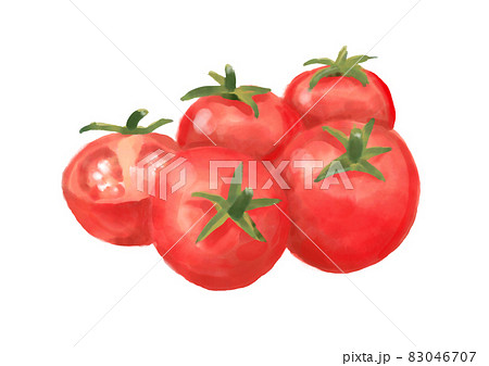 ミニトマトのイラスト素材