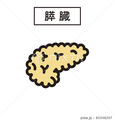 膵臓のイラスト素材