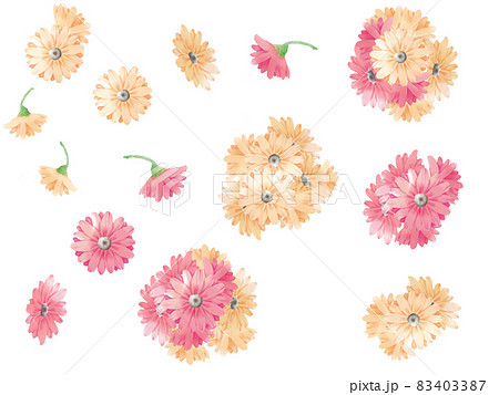 ガーベラ 花 イラスト かわいいのイラスト素材