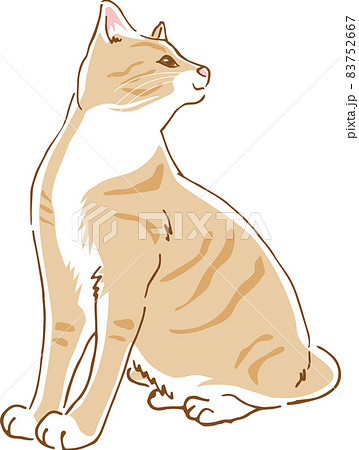 動物 猫 イラスト 横顔の写真素材