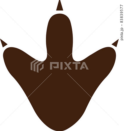 恐竜足跡 イラストの写真素材