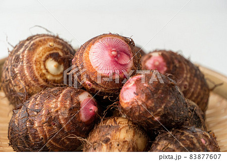 セレベス芋の写真素材