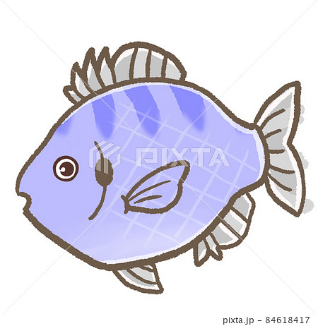 藍鰓太陽魚のイラスト素材