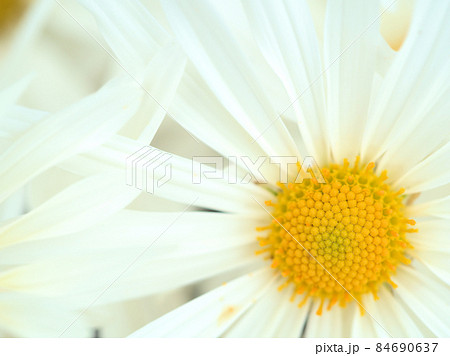 透垣の写真素材 透垣の写真素材