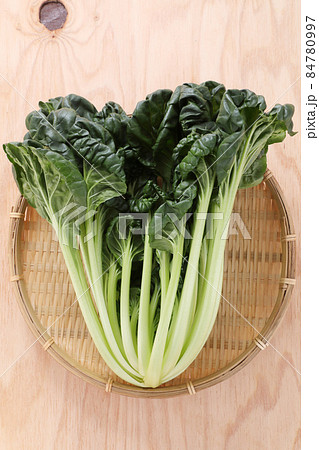 葉物野菜の写真素材