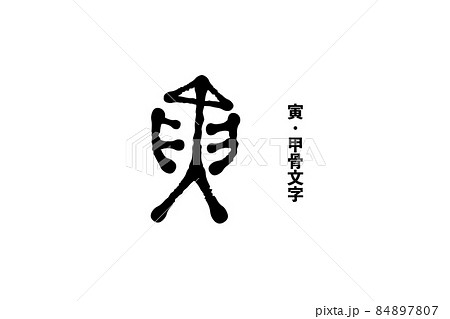 成り立ちのイラスト素材