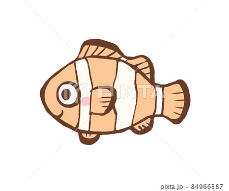 カクレクマノミのイラスト素材