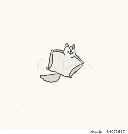 モモンガ かわいい イラスト 動物の写真素材