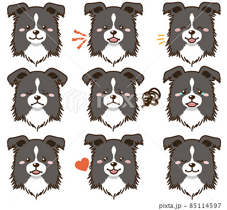 可愛い動物のイラスト素材一覧 選べる豊富な素材バリエーション