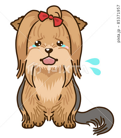 ヨークシャーテリアのイラスト素材