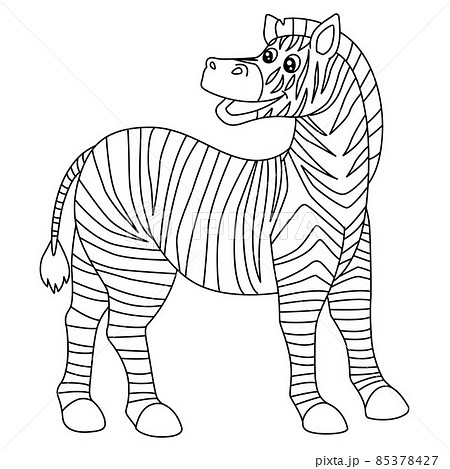 絵　シマウマ 塗り絵 しまうま シマウマ ゼブラのイラスト素材 - PIXTA