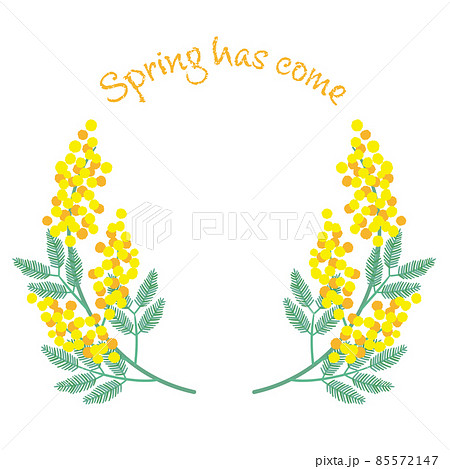 ミモザのイラスト素材