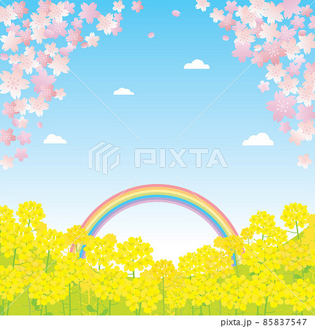 菜の花畑のイラスト素材