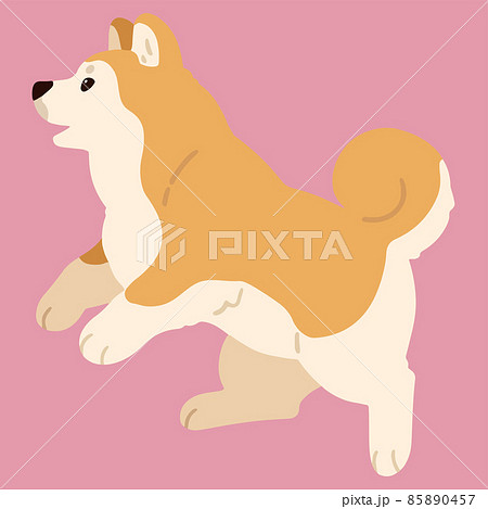 秋田犬のイラスト素材