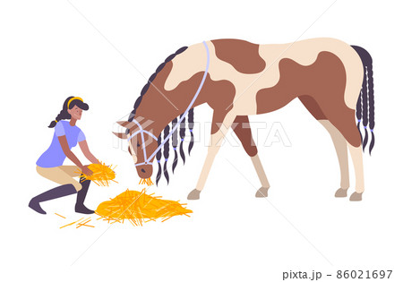 動物 馬 餌 食べるのイラスト素材