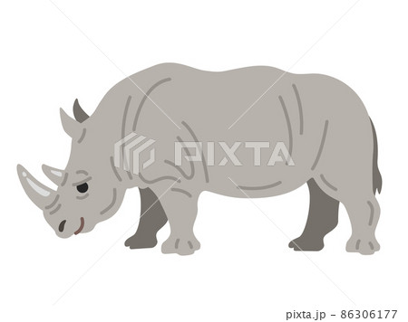 サイ 動物のイラスト素材