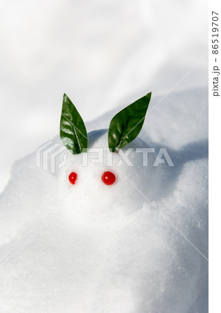 ゆきうさぎ 雪だるまの写真素材 - PIXTA