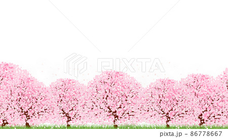 桜散るのイラスト素材