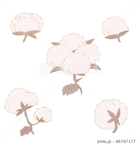 綿のイラスト素材