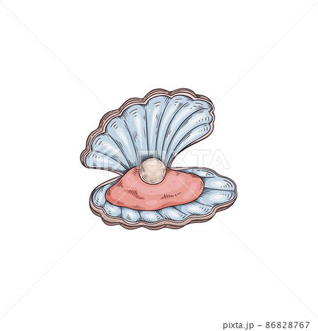 貝で作成している絵 柳沢のほら貝JPEG版 - e-monogatari