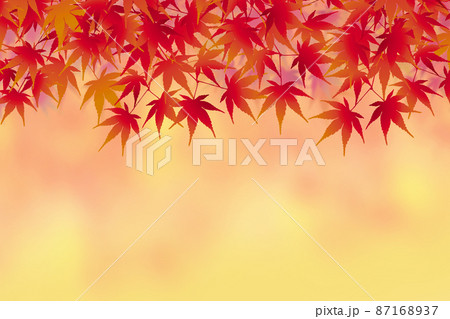 葉 もみじ 楓 紅葉のイラスト素材 葉 もみじ 楓 紅葉のイラスト素材