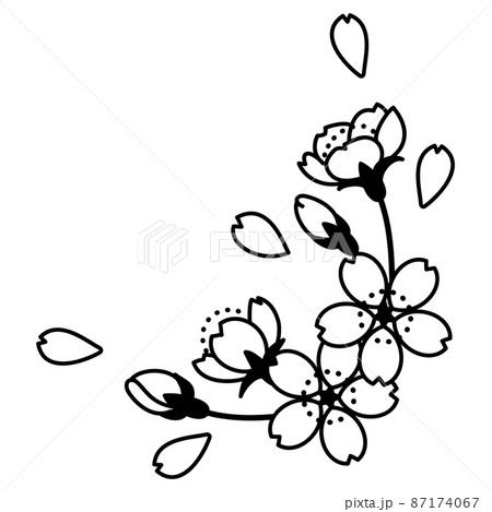 白黒 植物 イラスト 黒色の写真素材