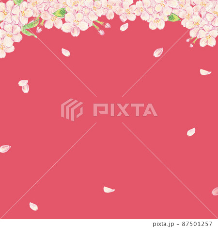 桜 鉛筆 サクラ さくら イラストのイラスト素材