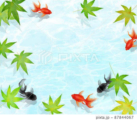 淡水魚 魚 金魚 グリーティングカードのイラスト素材 淡水魚 魚 金魚 グリーティングカードのイラスト素材