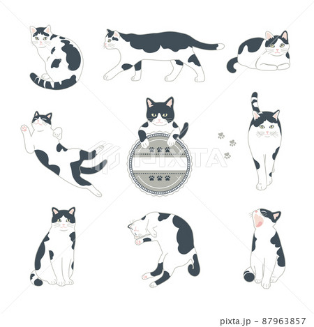 白黒猫のイラストセットのイラスト素材