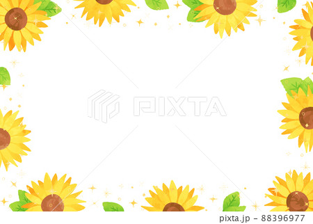 ひまわり 向日葵 横向き 花の写真素材
