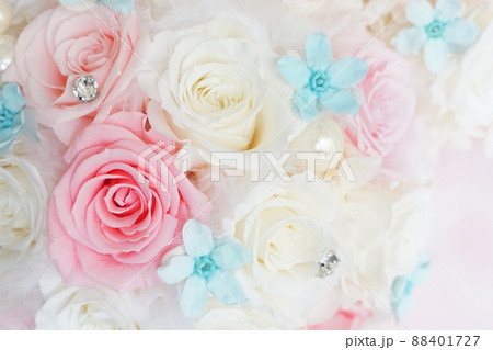 薔薇 シンデレラ 白色 花の写真素材