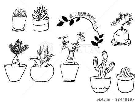 サボテン 白黒 植物 モノクロのイラスト素材