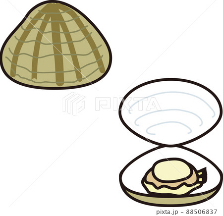 アサリのイラスト素材