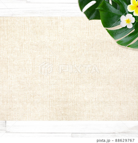 麻葉のイラスト素材