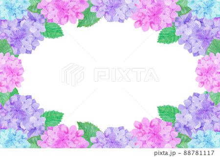 あじさい 花 植物 フレームのイラスト素材