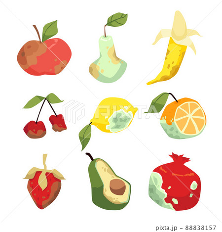 Spoiled and Rotten Mango Fruit with Skin - Stock Illustration [62288874]  - PIXTA