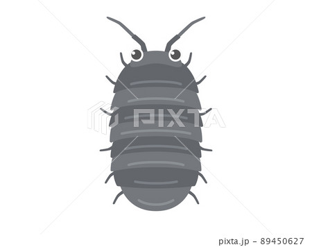 ダンゴムシのイラスト素材