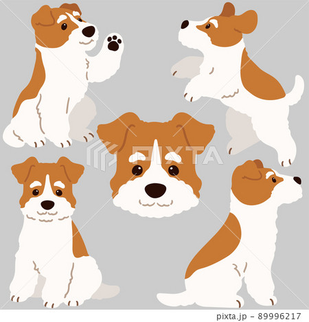 イラスト 動物 犬 走るの写真素材