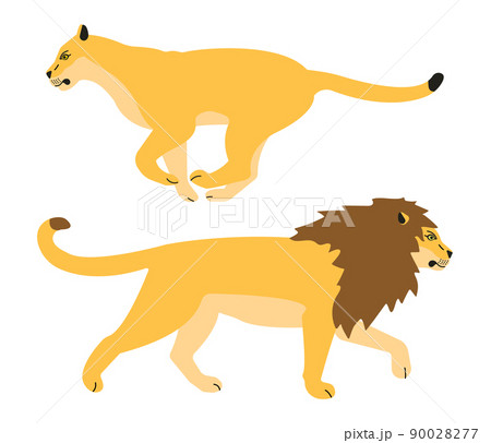 動物 ライオン 横顔 哺乳類のイラスト素材