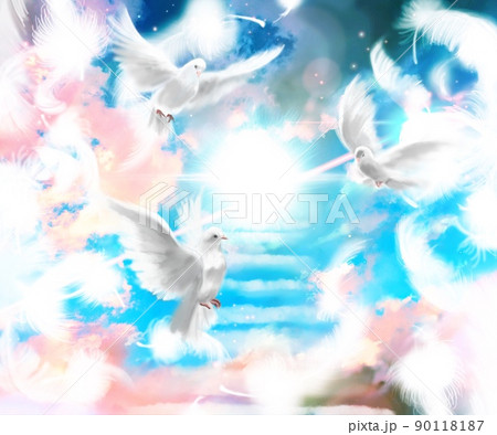 白い鳩のイラスト素材