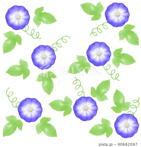 朝顔の葉っぱのイラスト素材
