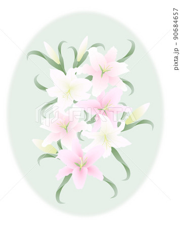 カサブランカ 花のイラスト素材