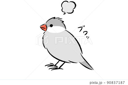 文鳥 可愛いのイラスト素材