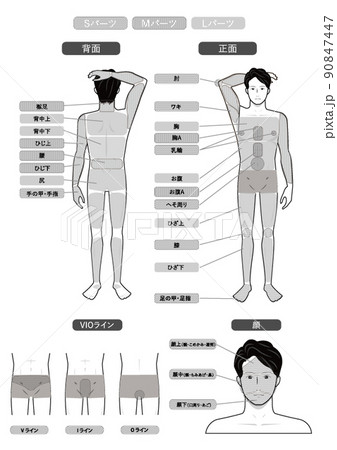 Smlのイラスト素材