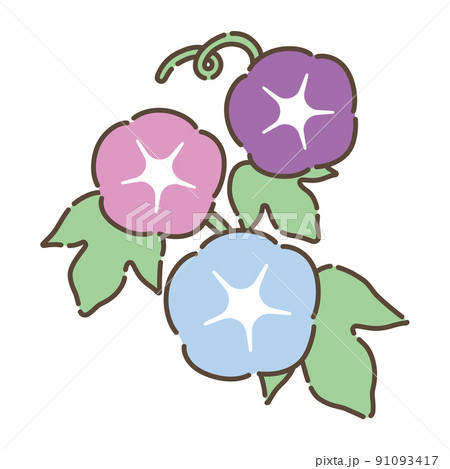 朝顔 昼顔 夕顔 葉の写真素材