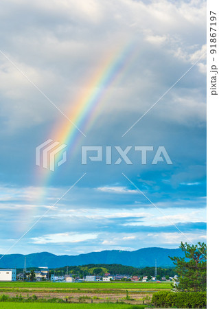 雨上がりの写真素材