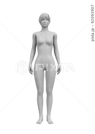 3d人体模型のイラスト素材